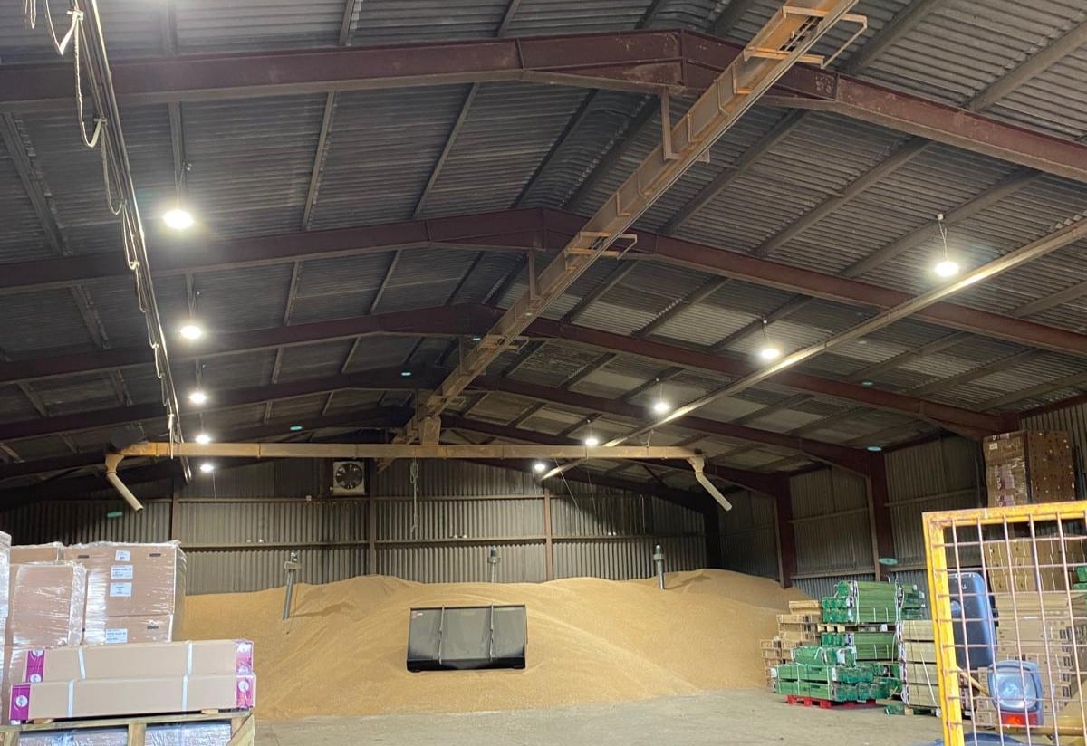 LED lights installed on the ceiling of a warehouse with pallets and grain piles below.